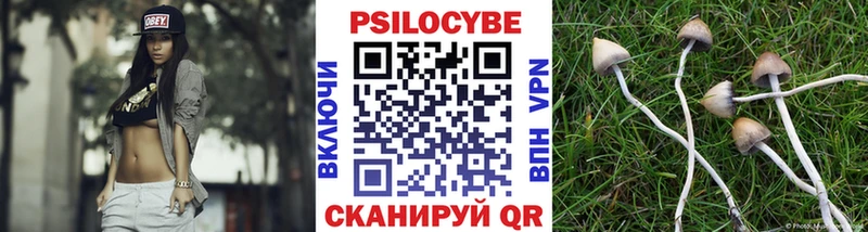 Псилоцибиновые грибы Psilocybe  наркотики  Копейск 
